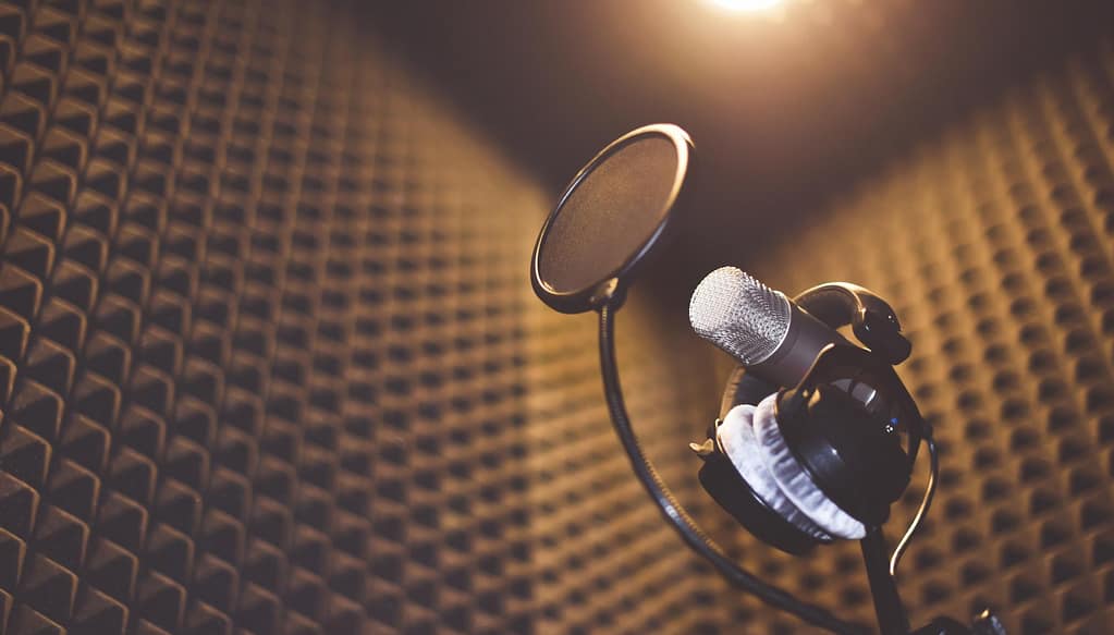 Cromerty York - British Female Voiceover - Soundproofed and Sound Treated Professional Studio